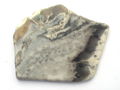 Rhyolite (Sea Jasper), polished section M1559