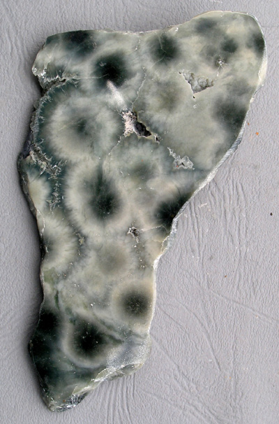 Rhyolite, (jaspe de mer), section polie M735