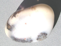 Moss Opal or Dendritic Opal PR23