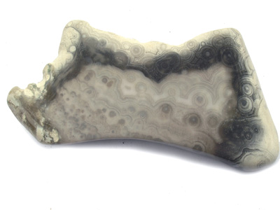 Rhyolite (Sea Jasper), polished slice