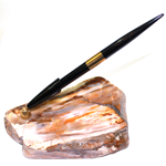 Fossilized Wood Pen Holder