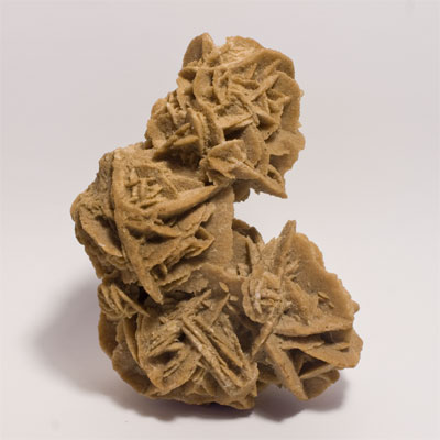 Rose des sables, Gypse 278 g 10 x 7.5 cm