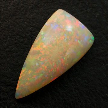 Elongated Trochoid Milky Opal 3.79 ct red and green - seashell
