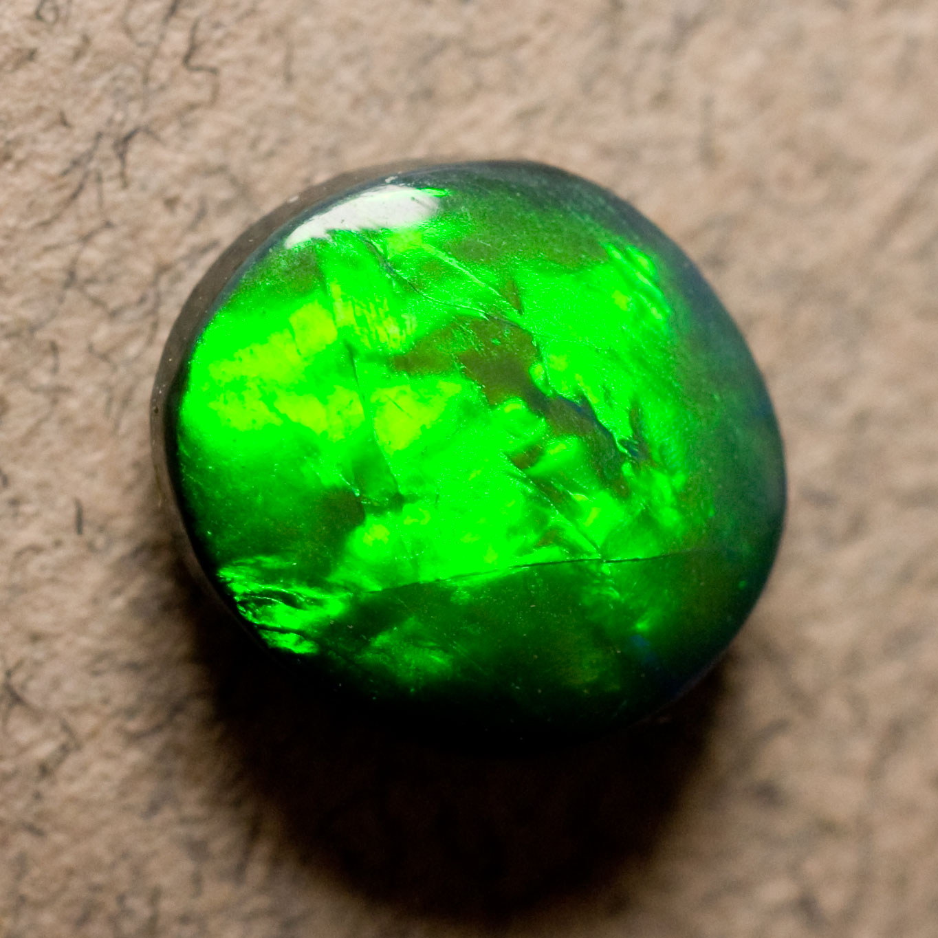 3666 Opale Noire N1 Sublime Vert Lumineux 0 48ct 5