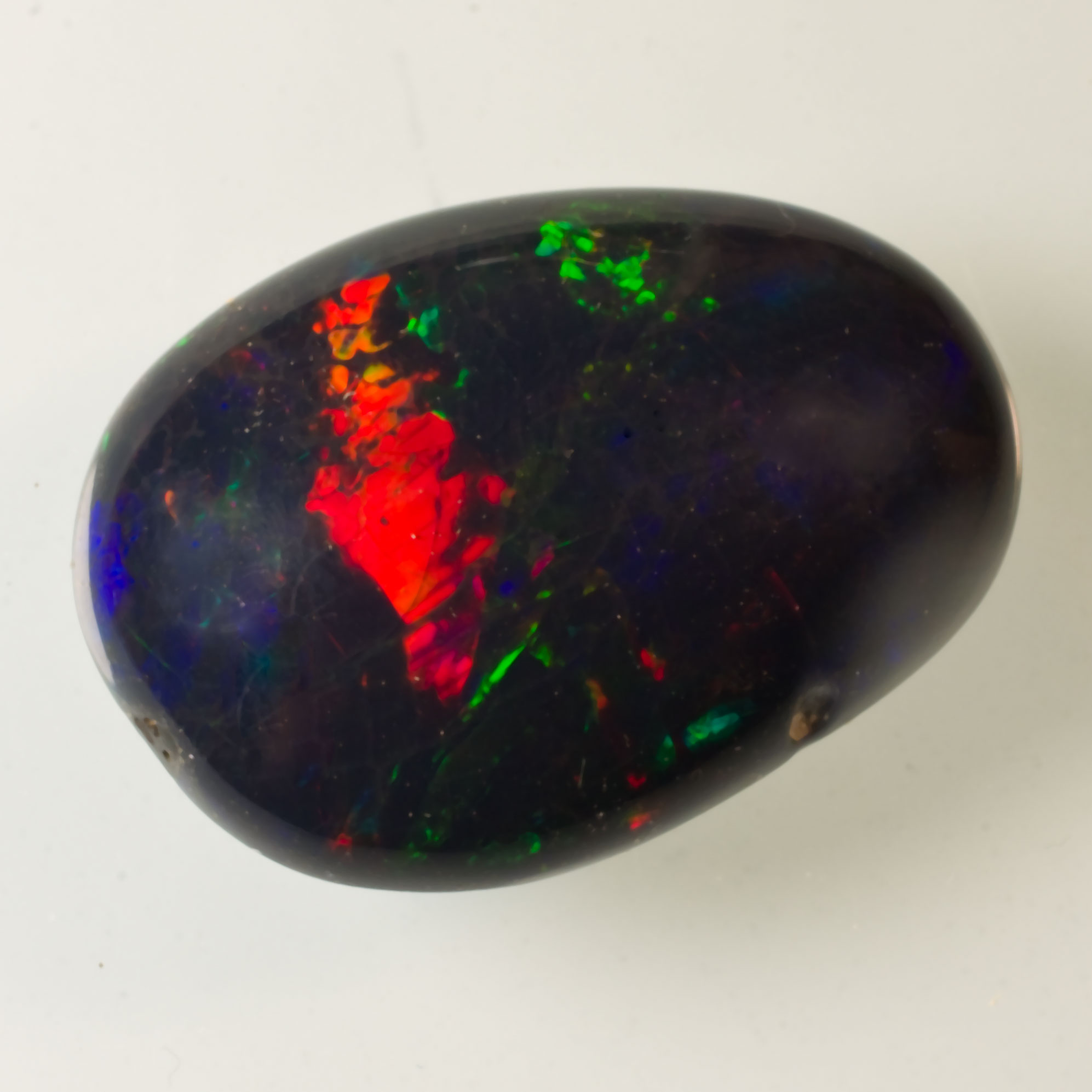 Grande opale noire N1 multicolore 7.04 ct 18.7 x 13.3 mm