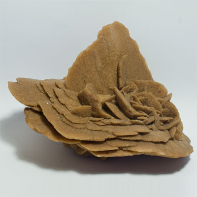 Rose des sables, Gypse, 878 g 18 x 12 cm